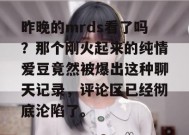 昨晚的mrds看了吗？那个刚火起来的纯情爱豆竟然被爆出这种聊天记录，评论区已经彻底沦陷了。